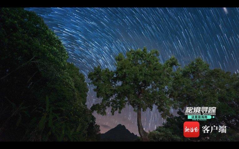 果果大作战
