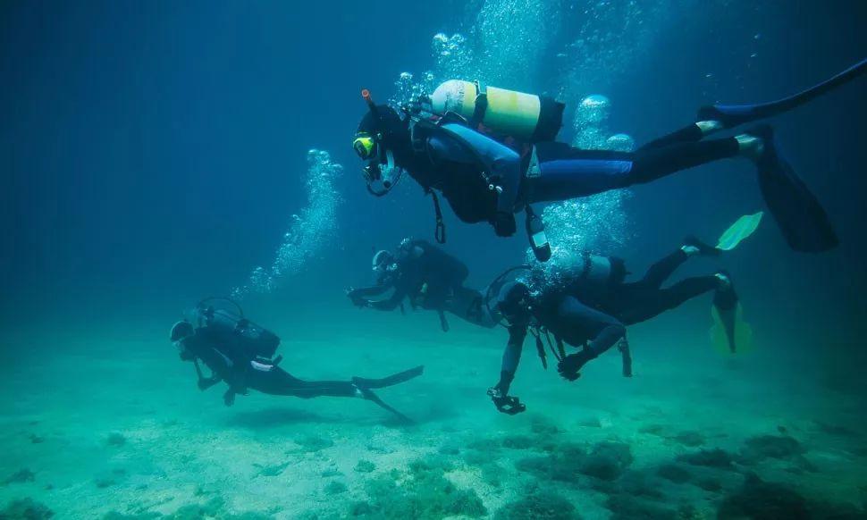 接续奋斗中懂青海、爱青海、兴青海
