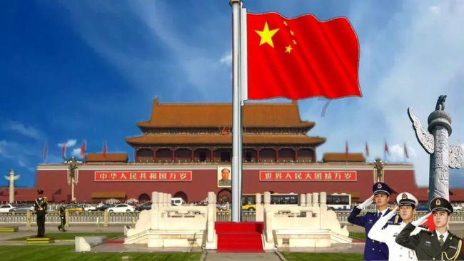 灭跳蚤最有效的土方法游戏画面