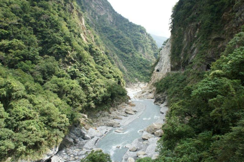 细胞分裂6