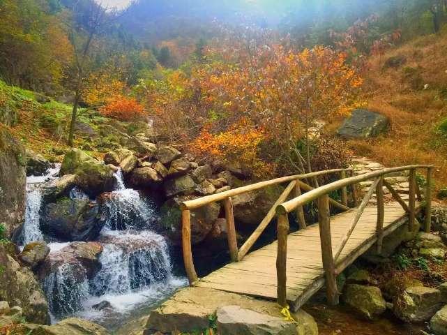 郭晶晶和霍启刚晒出家中团圆饭，却被众人吐槽，被吐槽的原因是什么？游戏画面