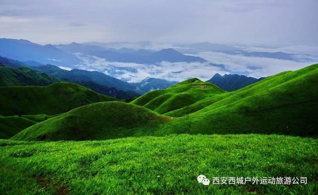 经历恐怖伤病死里逃生,别拿大卫不当詹姆斯。