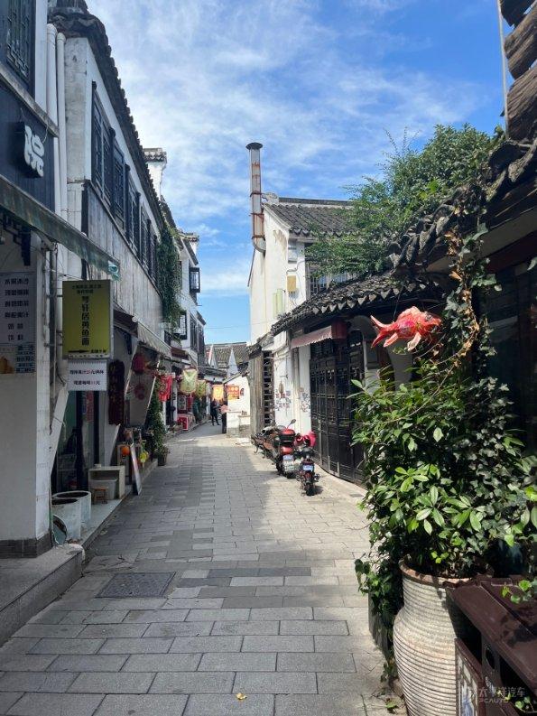 动物家园守卫战